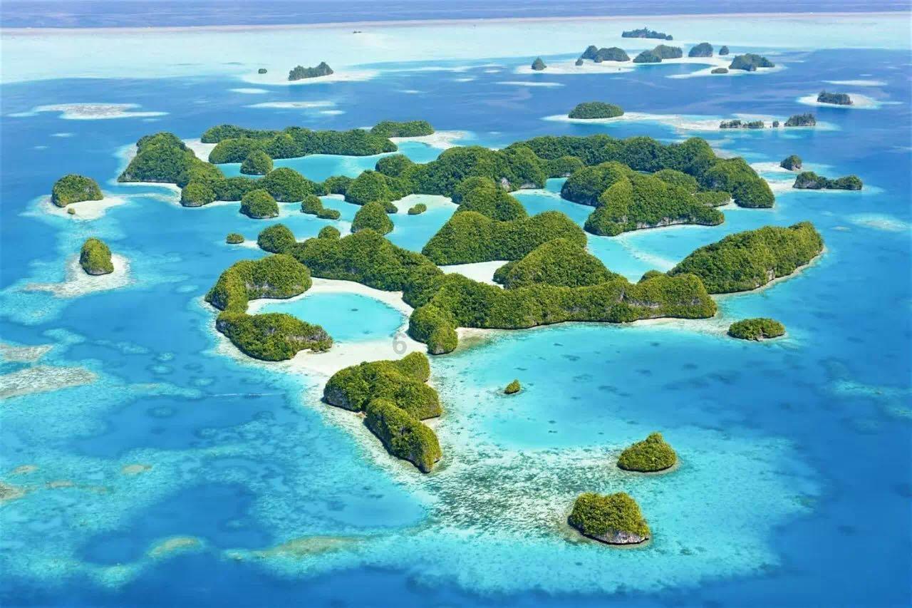 10个月宝宝。感冒有点咳嗽，可以吃炖鸡蛋吗？游戏画面